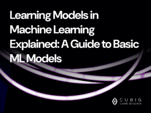 Learning Models in Machine Learning Explained: A Guide to Basic ML Models