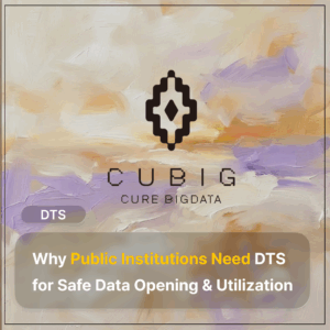 Why Public Institutions Need DTS for Safe Data Opening & Utilization