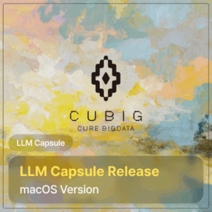 Launching LLM Capsule for macOS: using generative AI at work while staying compliant with privacy regulations