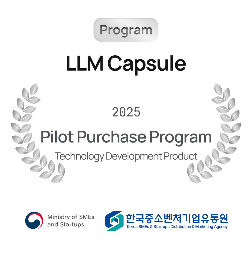 Pilot Purchase Program 2025, LLM Capsule