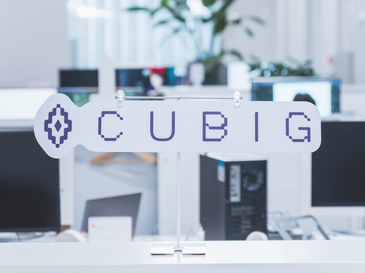 The CUBIG team at work