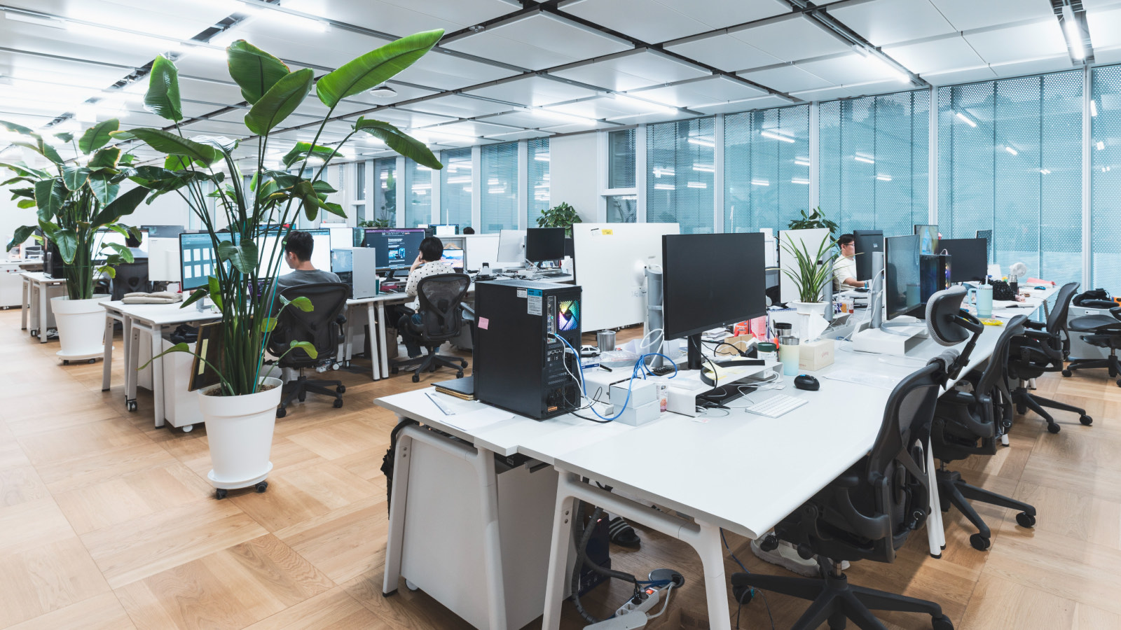 CUBIG team and workspace