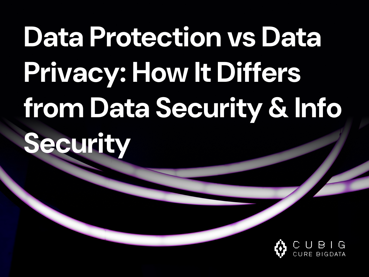 Data Protection vs Data Privacy: How It Differs from Data Security & Info Security